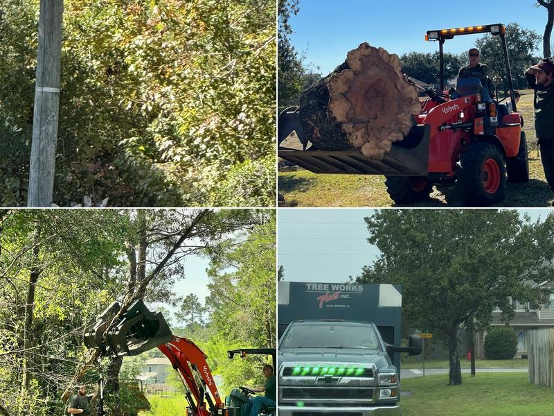 Tree Works Plus Inc