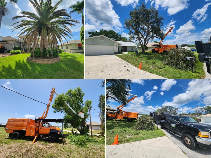 Southwest Tree Service LLC