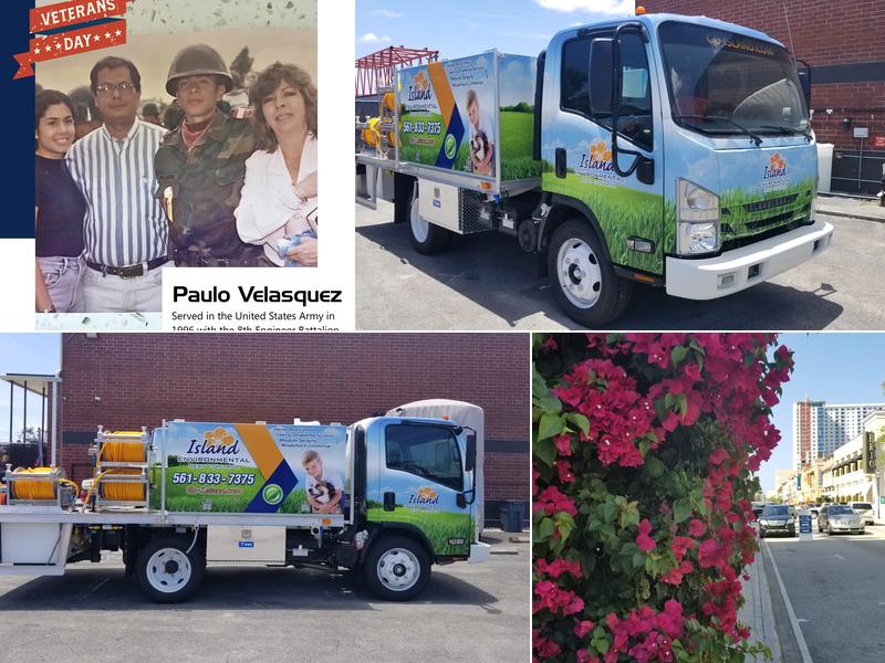 Island Environmental Pest Control