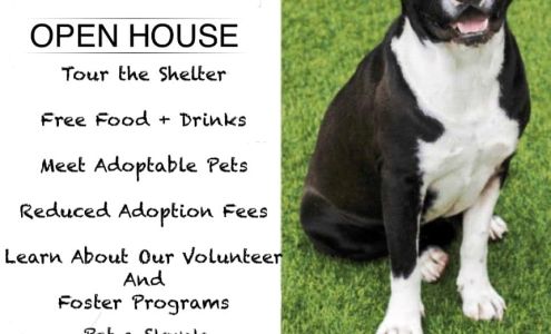 HOMES IN THE SUN TEAM - Century 21 Alliance Realty