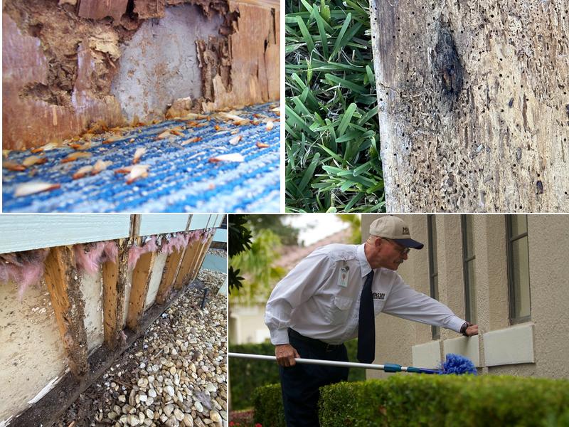 Massey Services Pest Control