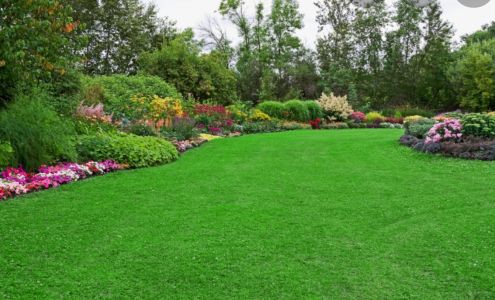 Perfect Cut Lawn Care