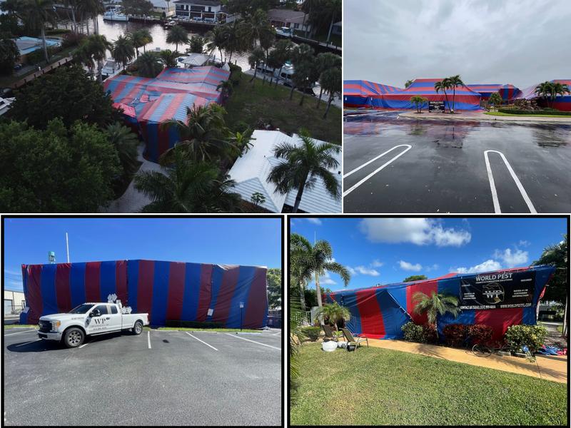 World Pest Termite & Fumigation Solutions LLC