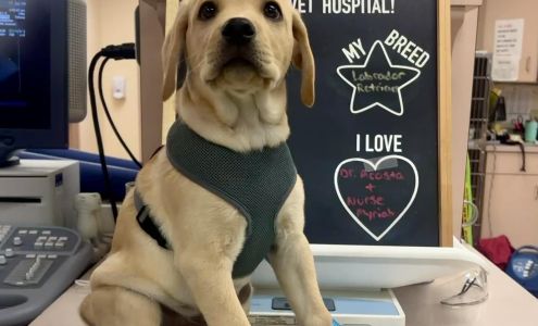 Lyon, We DVM - Camboro Veterinary Hospital 5989 Rte 6N, Edinboro Pennsylvania 16412