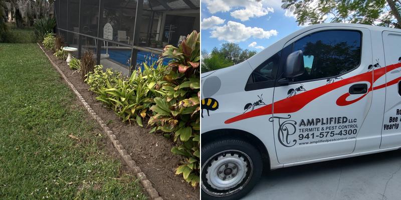 Amplified Termite & Pest Control LLC