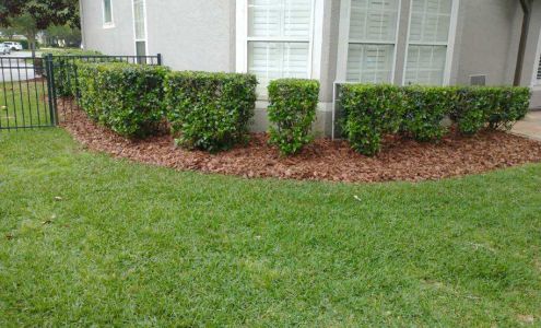 Tri-County Lawn & Landscaping Services LLC. - Jacksonville, Florida