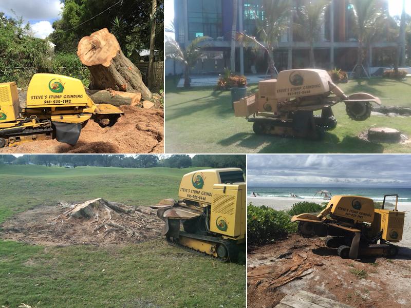 Steve's Stump Grinding