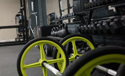 Strive Physical Therapy and Wellness Center