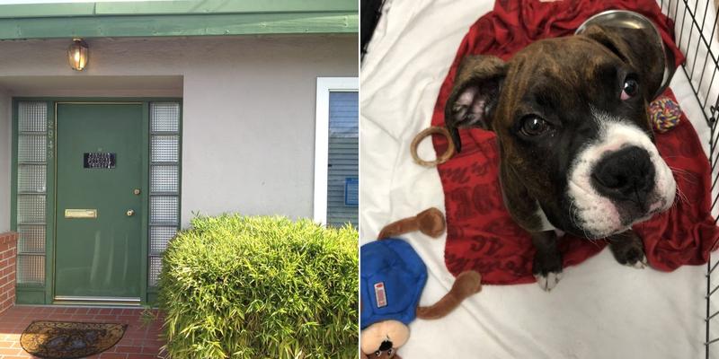 Concord Physical Therapy