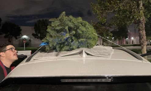 Lowe's Garden Center