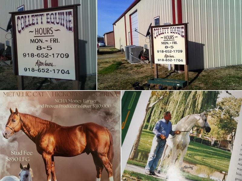 Collett Equine Veterinary Service