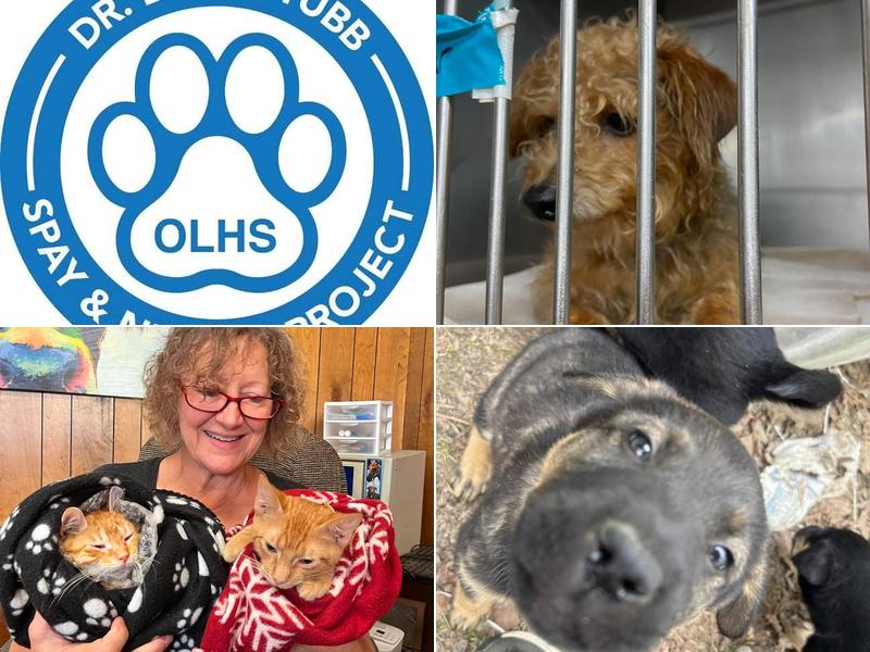 Tubb Spay and Neuter Project