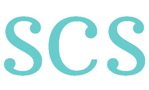 Skyline Computer Solutions