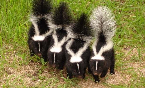 Tommy Pugh Insurance Agency