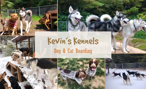 Kevin's Kennels 4914 Co Rd G, Eagle River Wisconsin 54521