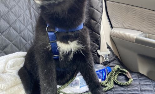 Humane Society of Vilas County