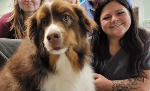 First Flight Veterinary Hospital & Mobile Services 100 Pan Ridge Ct, Point Harbor North Carolina 27964