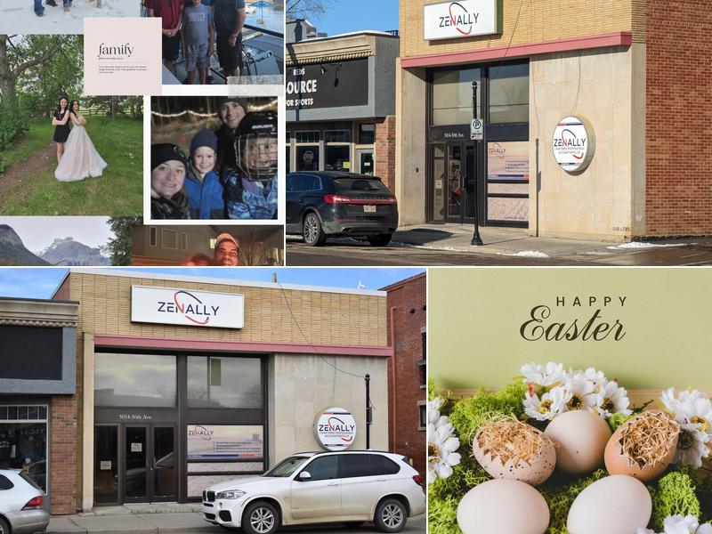 Zenally Chartered Professional Accountants LLP