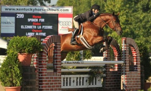 Griffin Insurance Agency