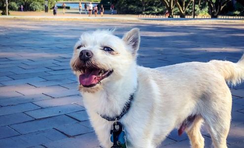 Wilson Sharon DVM 700 Edmonds Way, Edmonds Washington 98020