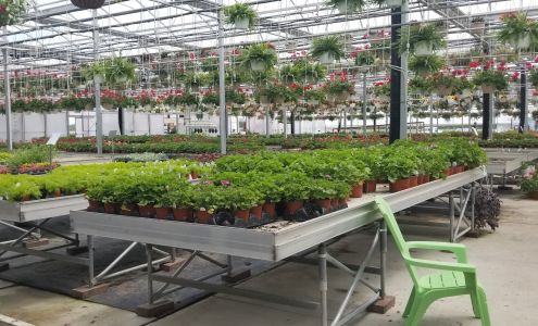 Mark Prielipp Greenhouse & Mohr Britton