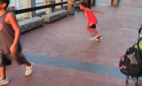 Boyd Insurance Services