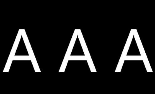 Action Auto Agency Inc