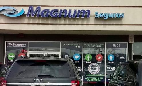 Magnum Insurance Agency