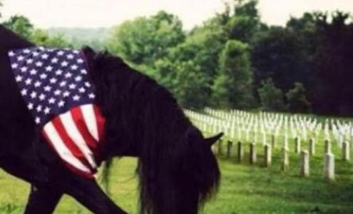 Tower Insurance and Risk Management Services, LLC