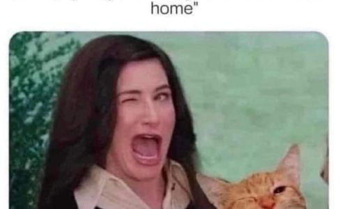 Chambers Veterinary Clinic 200 E Main St, Chambers Nebraska 68725