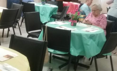 CRIS Healthy Aging – Vermilion County