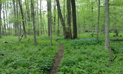 Forest View Manor Mobile Home Genoa