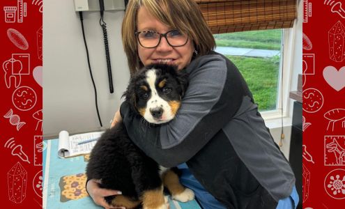 Adair County Animal Hospital: Campbell Shannon F DVM 2004 Campbellsville Rd, Columbia Kentucky 42728