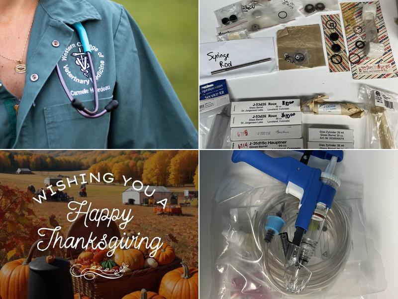 Russell & District Veterinary Clinic