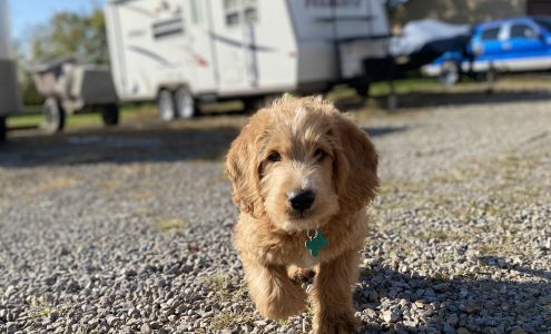 Prairie Oaks Self Storage West Jefferson