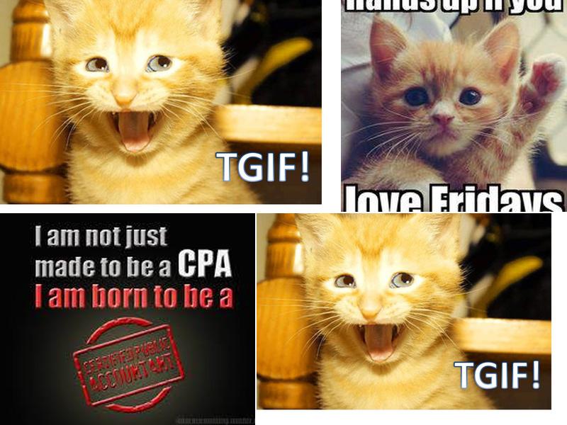 MacPhee's Accounting & Consulting Ltd