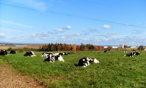 Nova Scotia Animal Breeders Co-op Ltd Lower Truro