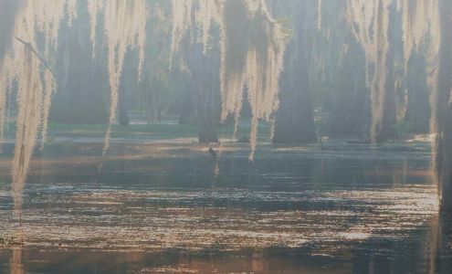 Advantage Financial Services - Covington