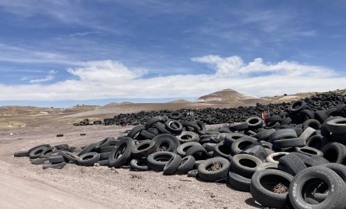 Blue Hills Environmental Association Saint Johns