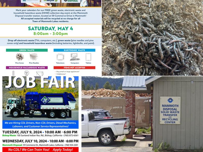 Mammoth Disposal
