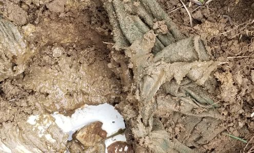 Fort Loudoun Propane Madisonville