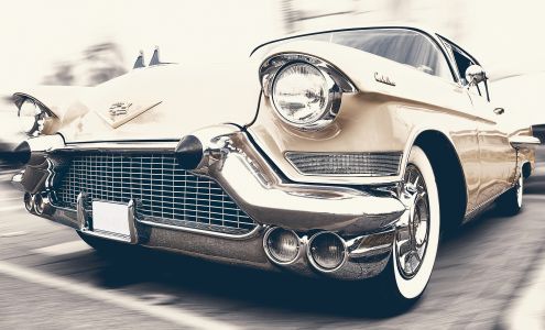 Notary and Travel Multiservice Agency, LLC