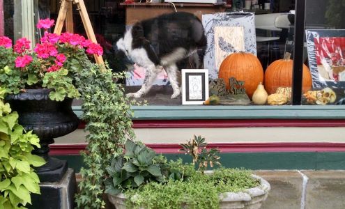 Cat's Paw Art Studio