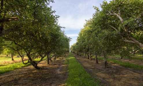 Pome on the Range Williamsburg