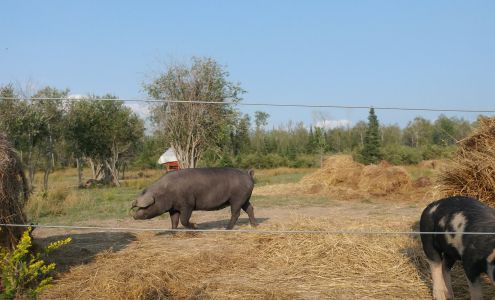 Valleyfield Farm Local Echo Bay