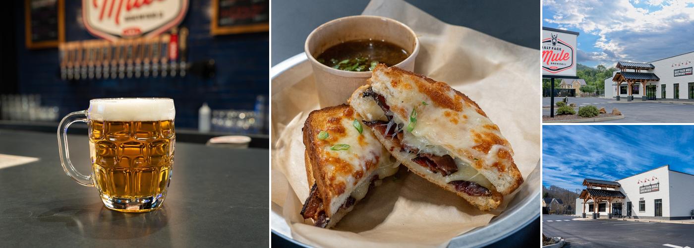 Salt Face Mule Brewing Co.