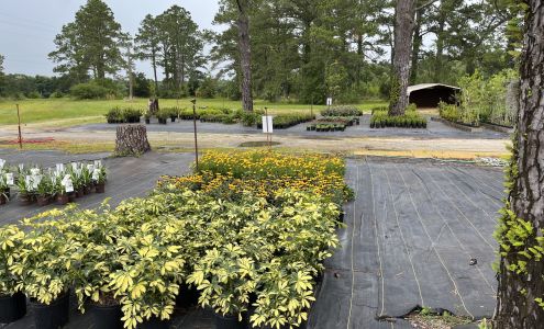 Dasher's Nursery & Garden Center