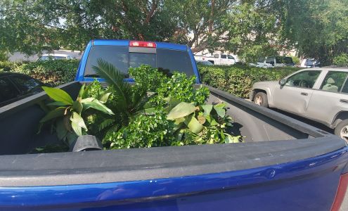 Crepe Myrtle Nursery