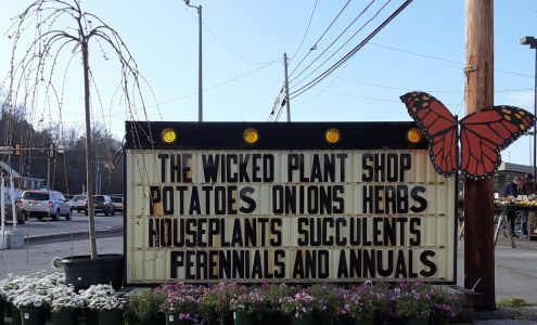 The Wicked Plant Shop