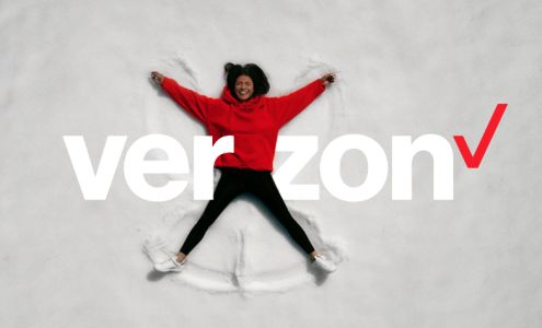 Verizon Business Services